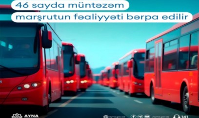 46 avtobus marşrutunun fəaliyyəti bərpa edilir