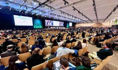 COP29-da Azərbaycana minnətdarlıq ifadə olunan qətnamə qəbul edilib