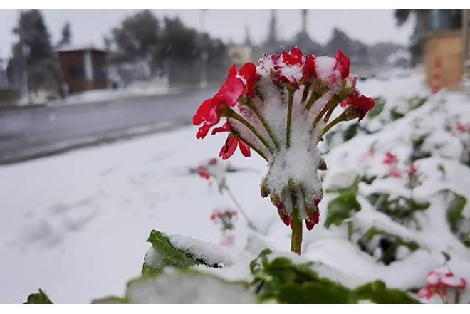 Şaxtalı hava davam edir