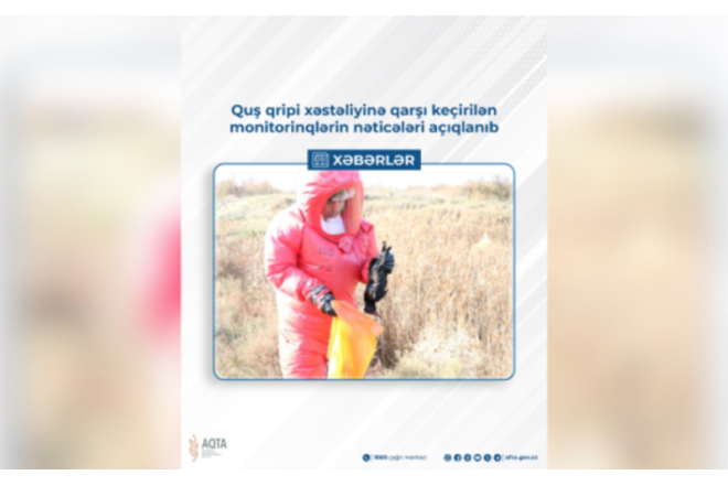 Azərbaycanda quş qripi ilə bağlı vəziyyət necədir? - AQTA AÇIQLADI