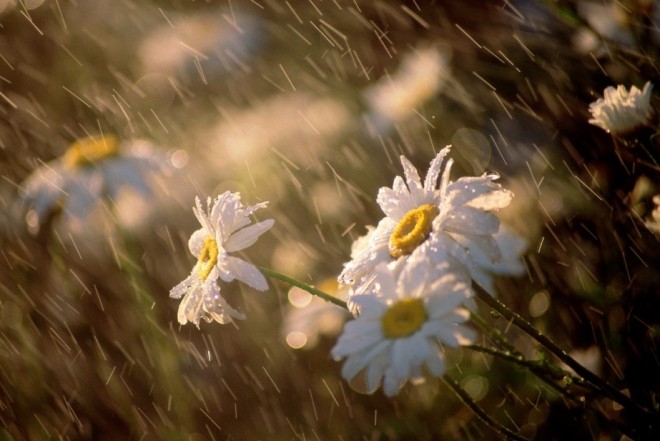 Hava kəskin dəyişəcək: Leysan, sulu qar... – XƏBƏRDARLIQ