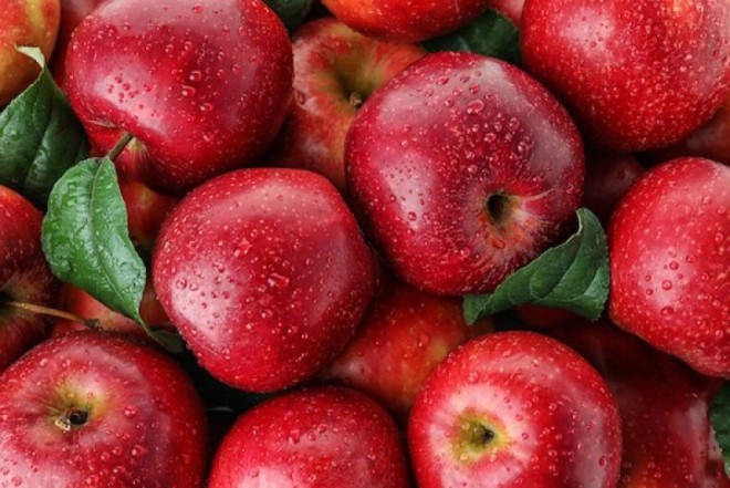 Almanı zəhərə çevirən hamının etdiyi məşhur səhv AÇIQLANDI