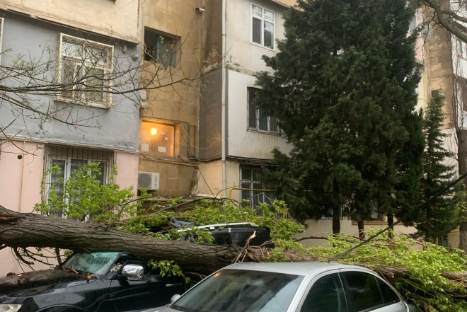 Yasamalda güclü külək fəsad törətdi: Ağac avtomobilin üzərinə aşdı - FOTOLAR