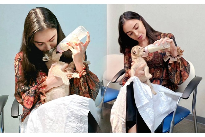 Leyla Əliyevanın şir balası ilə maraqlı görüntüləri- FOTO