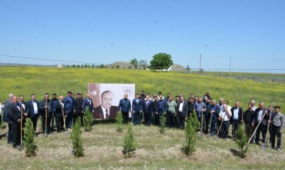 Tərtərdə ağacəkmə aksiyası keçirilib - FOTOLAR