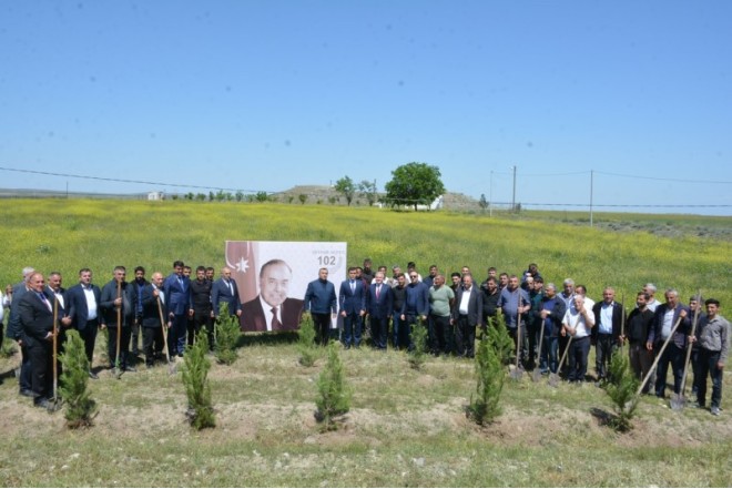 Tərtərdə ağacəkmə aksiyası keçirilib - FOTOLAR