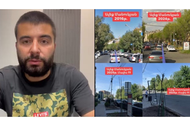 İrəvan küçələrinə Lənkəran akasiyası əkilməsi narazılıq yaratdı - FOTOLAR
