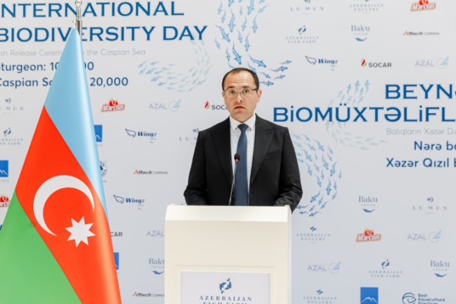 Məcnun Məmmədov koronavirusdan sağalıb