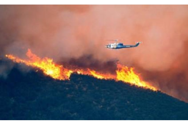 Türkiyədə meşə yanğını: 7 helikopter cəlb olundu