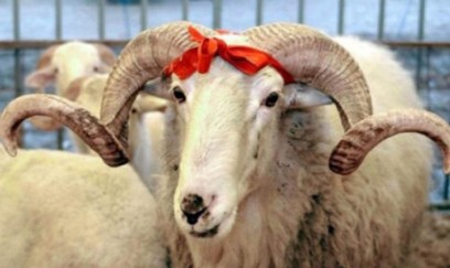 Qurban bayramında leysan olacaq 