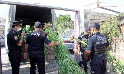 Çətənə kolları yetişdirən 4 nəfər həbs olundu