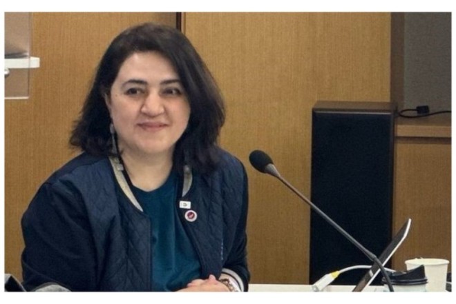 Aynurə İsmayılova yeni direktor vəzifəsinə gətirildi
