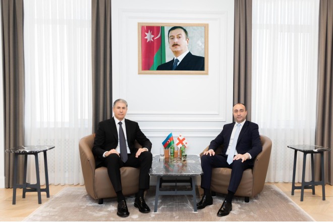 Gürcüstanın daxili işlər naziri Bakıda - FOTO
