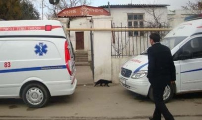 Gəncədə 15 yaşlı şagirdin müəmmalı intiharı – Eyni məktəbdən daha bir faciə
