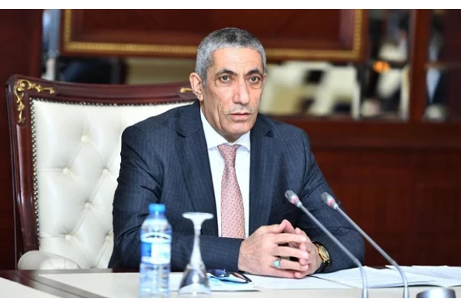 “Naxçıvanda iş mexanizmində problemlər yaranırdı” 