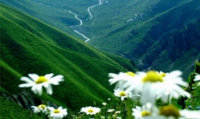 Yay gəldi, istilər gəlmədi: Səbəb nədir?- Ekoloqdan AÇIQLAMA