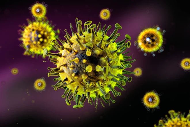 Çində iki yeni virus aşkarlanıb 