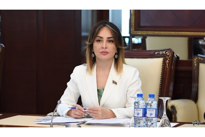 "Azərbaycan sabitlik və enerji təhlükəsizliyi adasıdır" Nigar Məmmədova