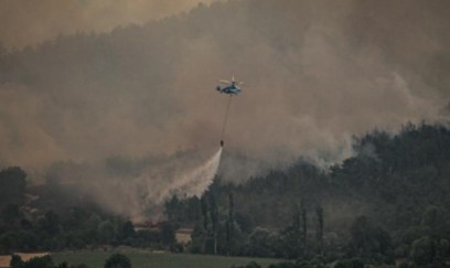 Türkiyədə meşə yanğını törədən 17 nəfər TUTULDU