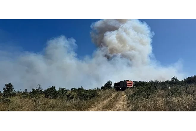 Silivridə meşə yanğını zamanı 100 hektar ərazi məhv olub 