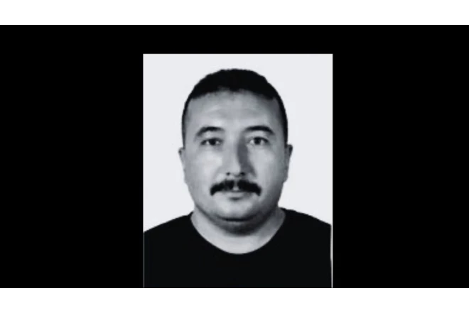 İzmirdə meşə yanğını zamanı bir nəfər ölüb 