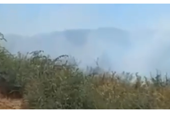 Cəlilabadda meşə YANIR
