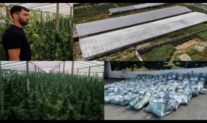 Bakıda 881 kq çətənə kolu yetişdirilən istixana aşkarlanıb