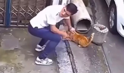 Pişiyin quyruğunu kəsdi, anbaan kameraya düşdü