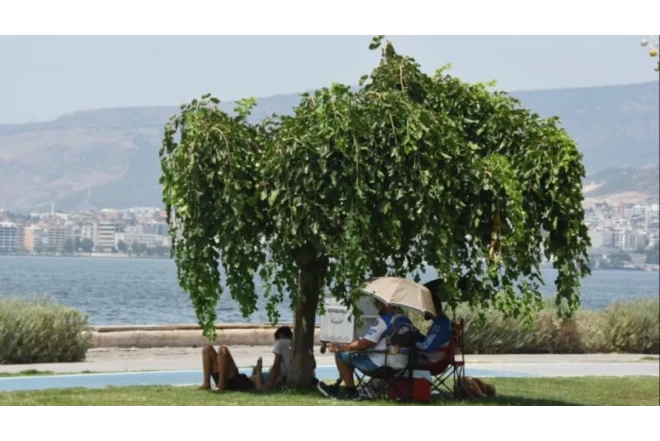 Türkiyəni cənginə alan Afrika istilərinin səbəbi açıqlanıb