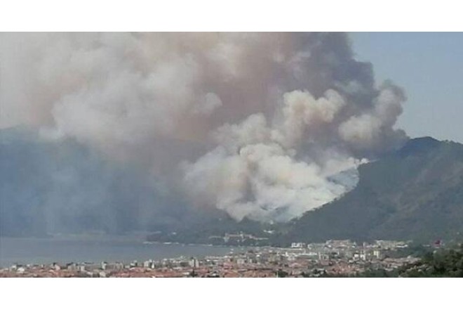 Türkiyədə meşə yanğınları ilə bağlı 17 nəfər saxlanılıb 