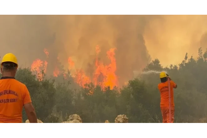 Türkiyənin bəzi bölgələrində meşə yanğınları davam edir 