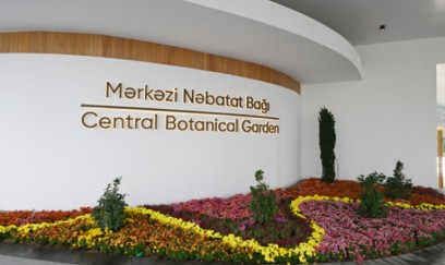 Mərkəzi Nəbatat Bağı paytaxt sakinləri və qonaqlara müraciət edib 