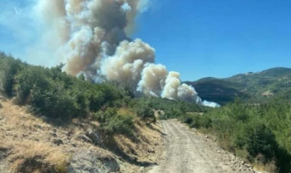 Yanğında “ölən” dünya: Meşə yanğını problemi niyə artır?