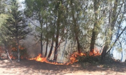 Laçının Güləbird kəndində YANĞINI’m