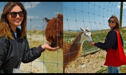 Van Dammın azərbaycanlı gəlini bu rayona getdi - FOTO