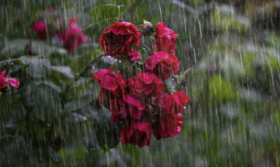 Hava kəskin DƏYİŞİR – Temperatur enəcək, yağış yağacaq