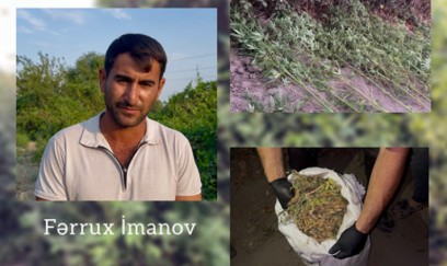 Kürün sahilində narkotik becərən saxlanıldı - Xüsusi tunel hazırlayıbmış...
