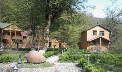 Onlar üçün xüsusi l güzəştlər olacaq