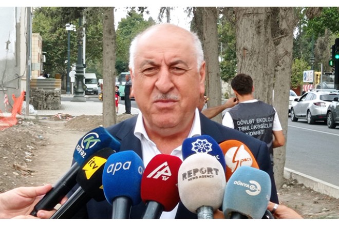 Gəncədə qurumuş ağaclar nömrələnir - FOTOLAR