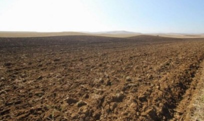 Azərbaycanda növbəti torpaq hərracları elan edilib 