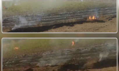 Cəlilabadda yanğın törədən şəxslər məsuliyyətə cəlb olunublar 