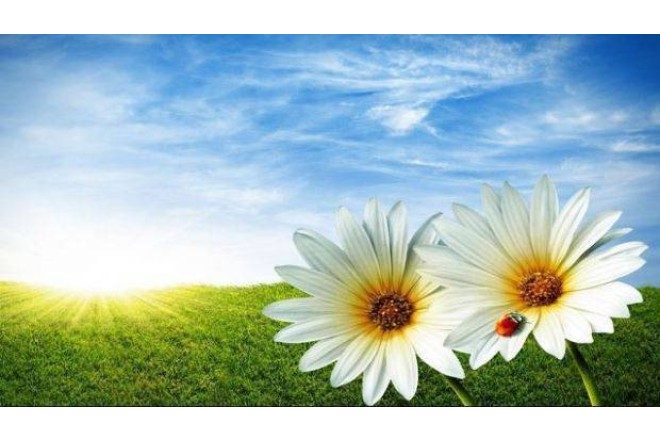 Sabah 39 dərəcə isti olacaq – PROQNOZ