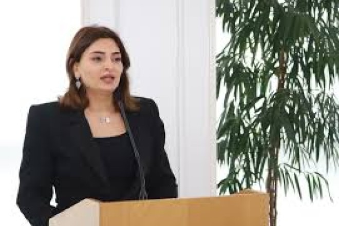 “Hindistanın qərəzi Azərbaycan-Pakistan qardaşlığını daha da gücləndirir” - Züriyə Qarayeva