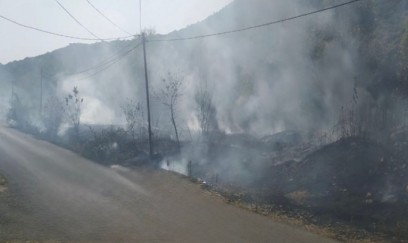 Lənkəranda dağlıq ərazidə yanğın olub 