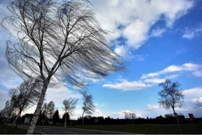 Küləkli hava şəraiti ilə bağlı sarı XƏBƏRDARLIQ