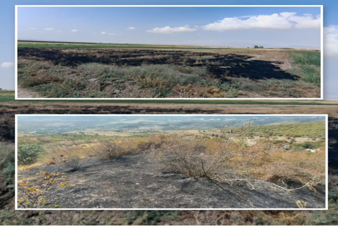 Füzuli və Xocavənddə yanğın törədən şəxslər saxlanıldı