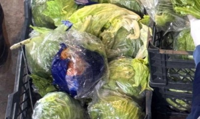 "Kahı" yükü aparan avtomobildə 29 kiloqram narkotik aşkarlandı
