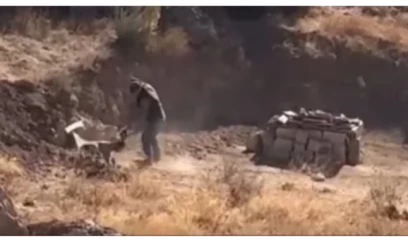 Türkiyədə balaca itə işgəncə verən şəxs saxlanıldı