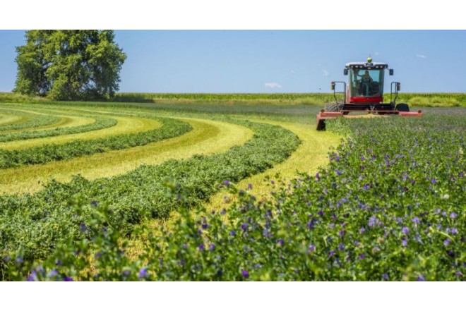 Kənd təsərrüfatı təyinatlı torpaqlarda tikintiyə bu hallarda icazə veriləcək 