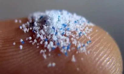 Mikroplastiklər sümük toxumasını zədələyirmiş 